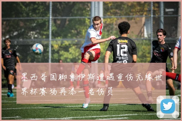 墨西哥国脚鲁伊斯遭遇重伤无缘世界杯赛场再添一名伤员